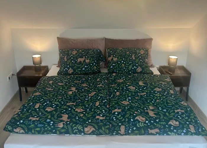 Zeleny Dom V Raji 別荘 *