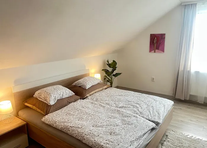 別荘 Zeleny Dom V Raji