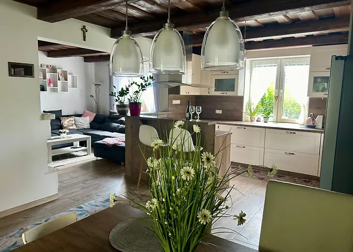 Zeleny Dom V Raji 別荘 Letanovce