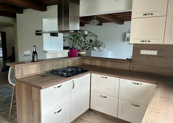 Zeleny Dom V Raji 別荘 Letanovce