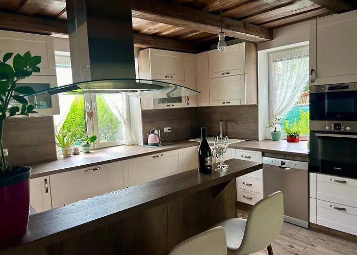 Zeleny Dom V Raji 別荘 *